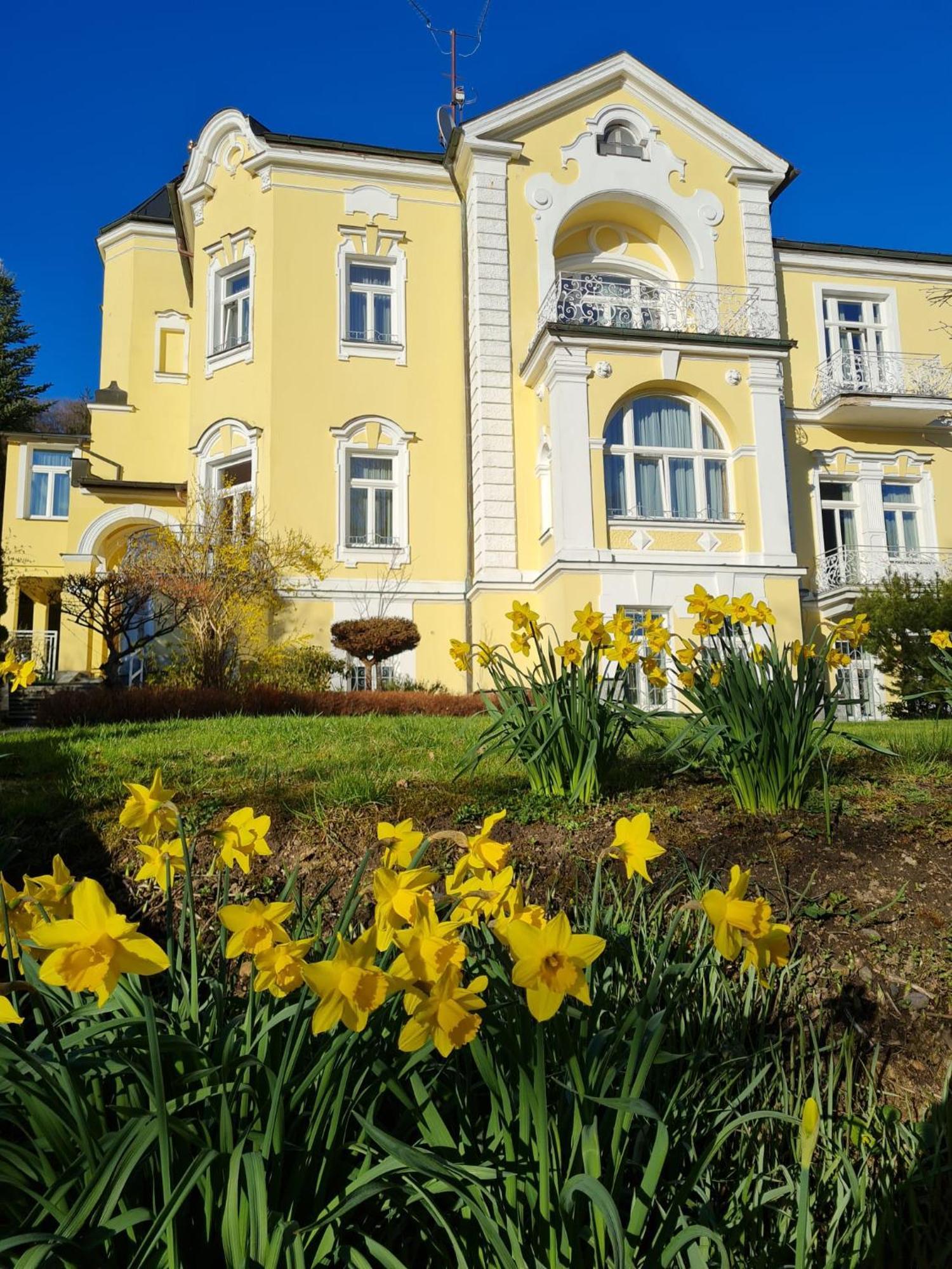 Villa Sonnenstrahl Marianske Lazne Ngoại thất bức ảnh